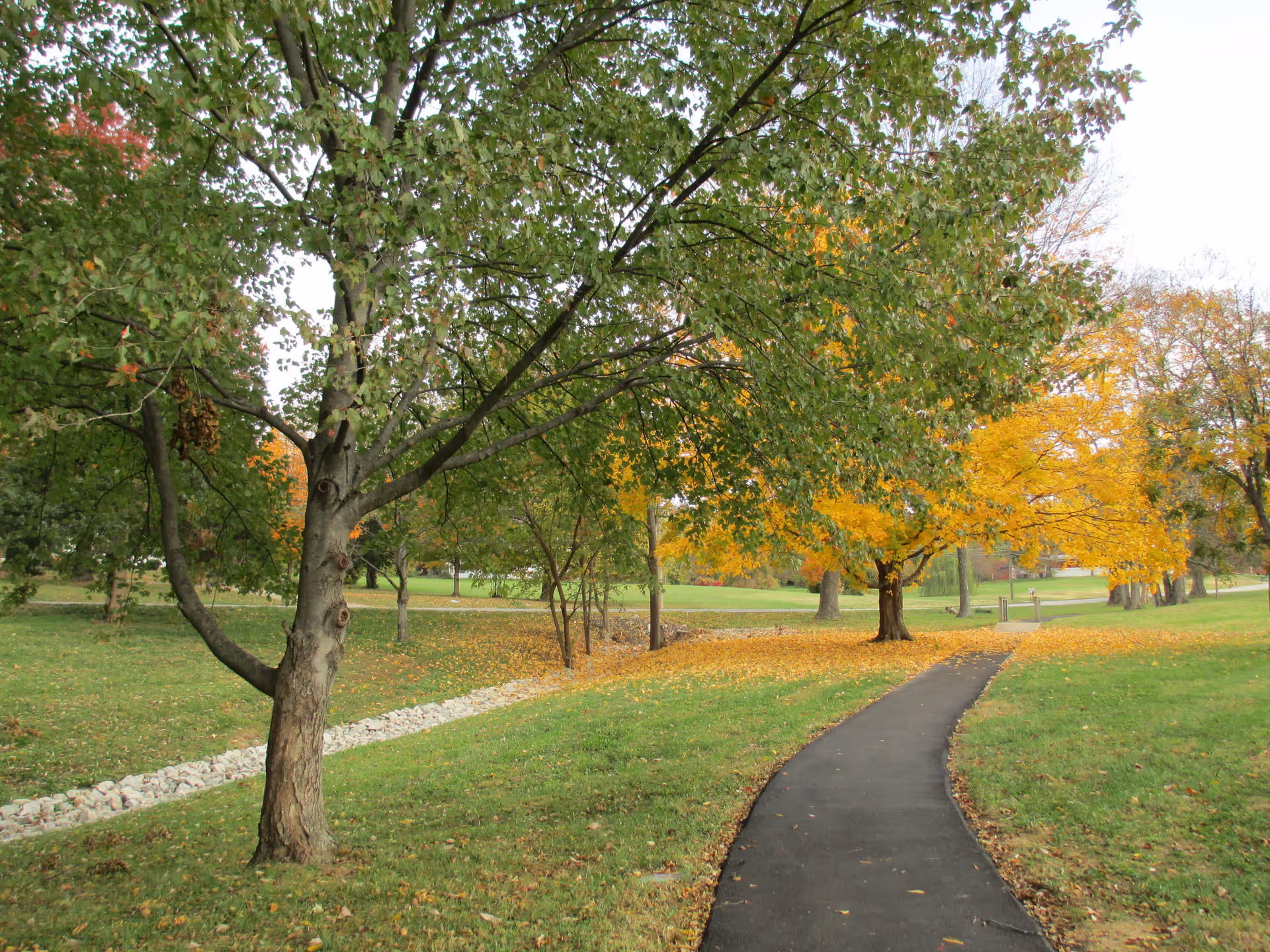 A paved walking path curves through a grassy park area with trees showing green and yellow autumn leaves. A small stone-lined drainage ditch runs parallel to the path on the left side.