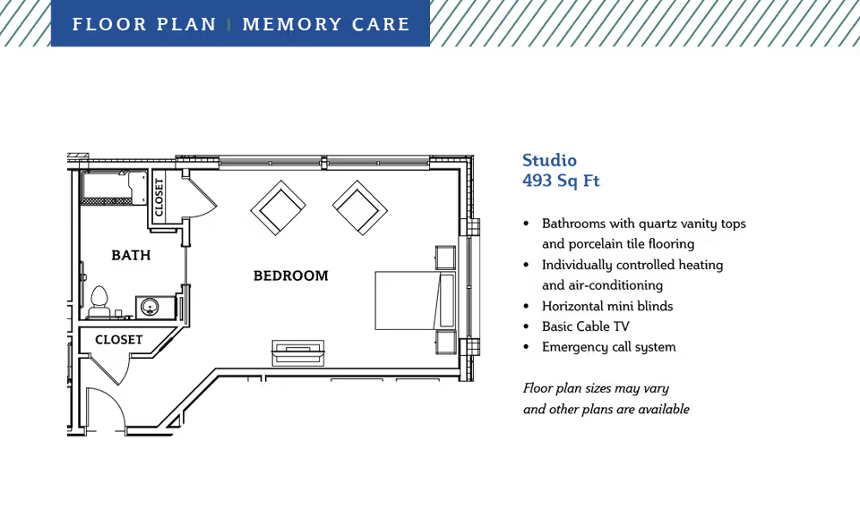 Floor plan for a memory care studio apartment at Eagleview Landing, showing a layout with a living/sleeping area, bathroom, and closet, totaling 493 square feet.