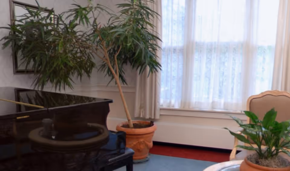 A cozy interior room featuring a black grand piano, a tall potted plant with green leaves, a window with sheer white curtains, and a beige upholstered chair. There is also a small round table with a potted plant on it.