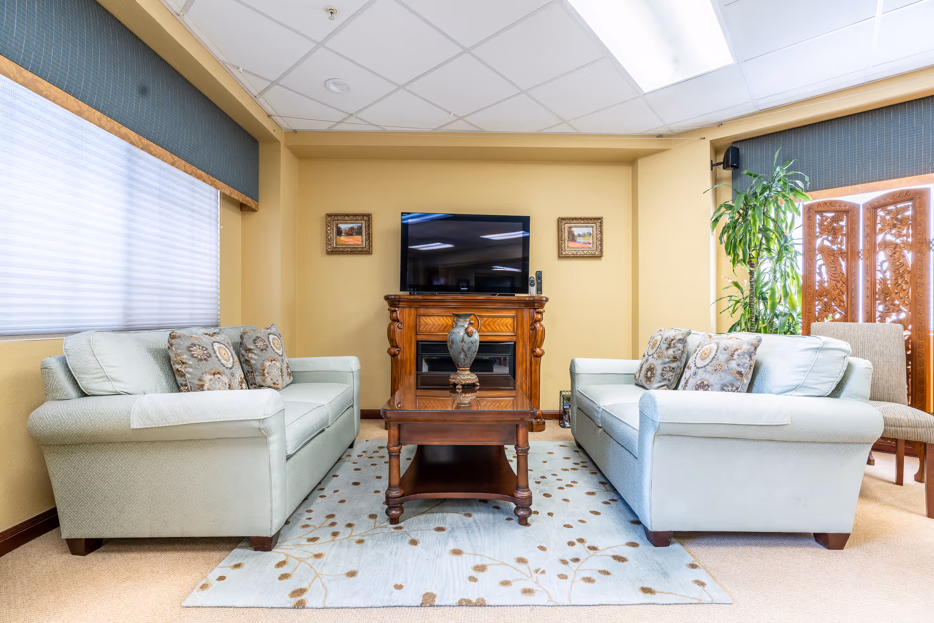 A cozy living room with two light blue sofas facing each other, each adorned with patterned cushions. Between the sofas is a wooden coffee table with a decorative vase. Against the wall is a wooden cabinet with a flat-screen TV mounted above it. The room has beige walls, a light blue area rug with a floral pattern, and large windows with blinds. There is also a tall green plant and a wooden decorative screen in the corner.