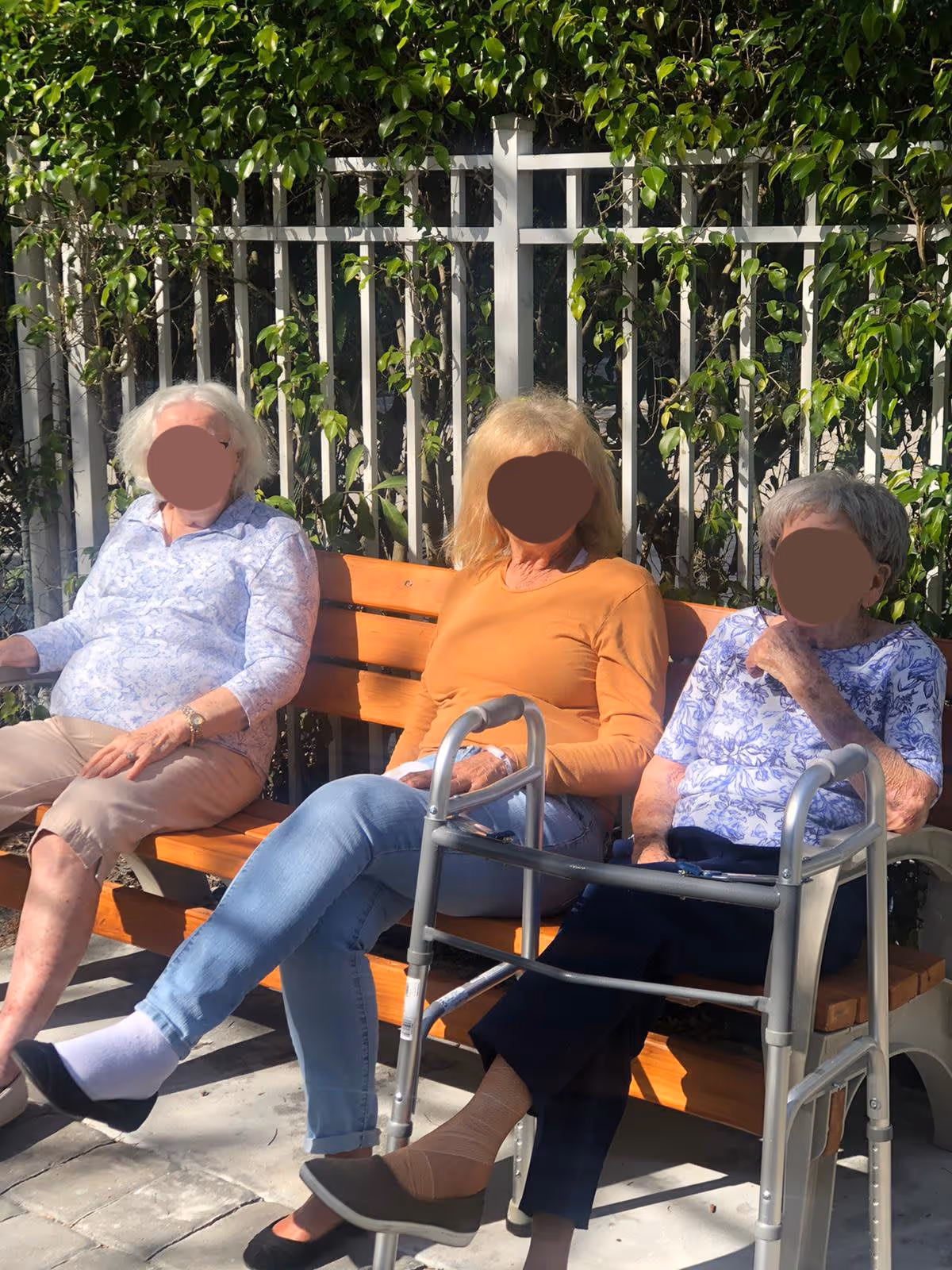 Three elderly women sitting on a wooden bench outdoors in front of a white metal fence with green leafy plants. Two of the women have walkers in front of them. They are enjoying the sunny weather.