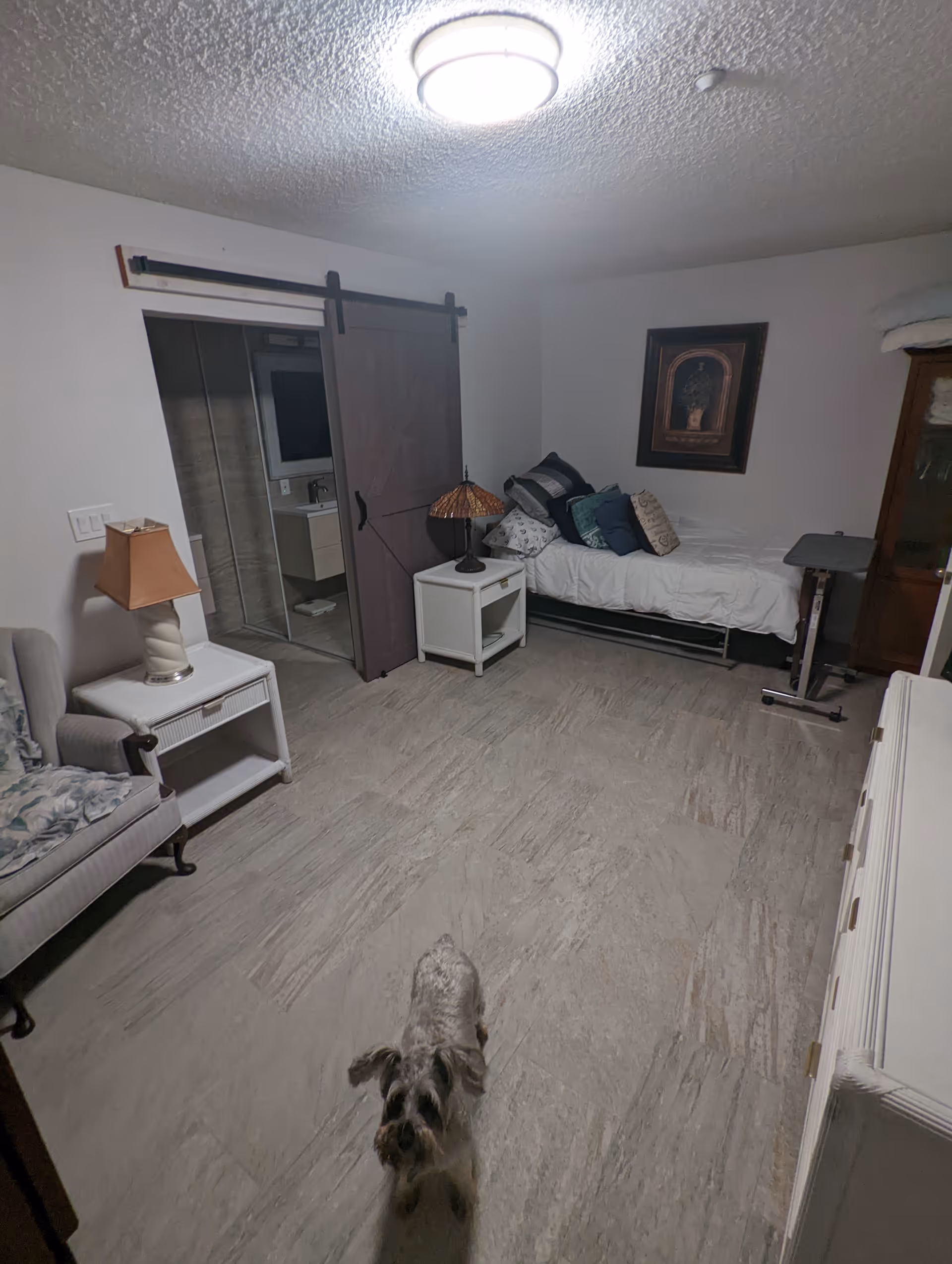 Small bedroom with a single bed, bedside tables, a sliding barn door to an en suite bathroom, armchair and dresser, with a small dog on the floor.