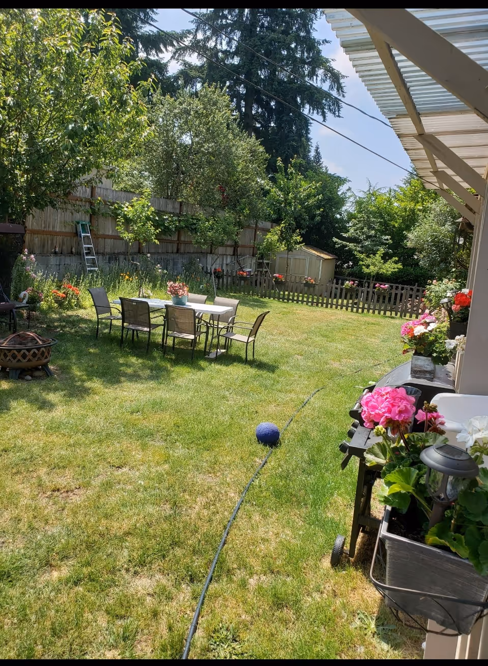 A sunny backyard garden area with a green lawn, a table with six chairs, a fire pit, and various flowering plants. There is a wooden fence, a small shed, and trees in the background. A covered patio with more flowers in pots is visible on the right side.