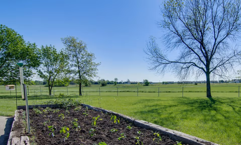 A sunny outdoor garden area with a raised garden bed containing small plants and seedlings. There are several trees, a green lawn, and a wire fence in the background under a clear blue sky.