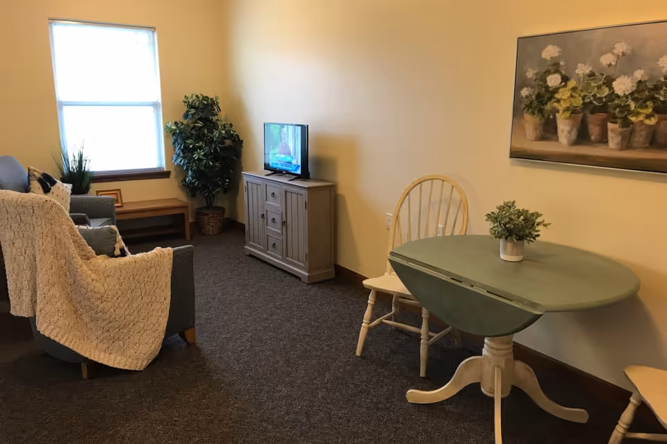 A cozy living room with a gray armchair draped with a cream knitted blanket, a small wooden table with a potted plant, a TV on a wooden cabinet, and a round green table with two wooden chairs. A painting of white flowers in pots hangs on the wall.