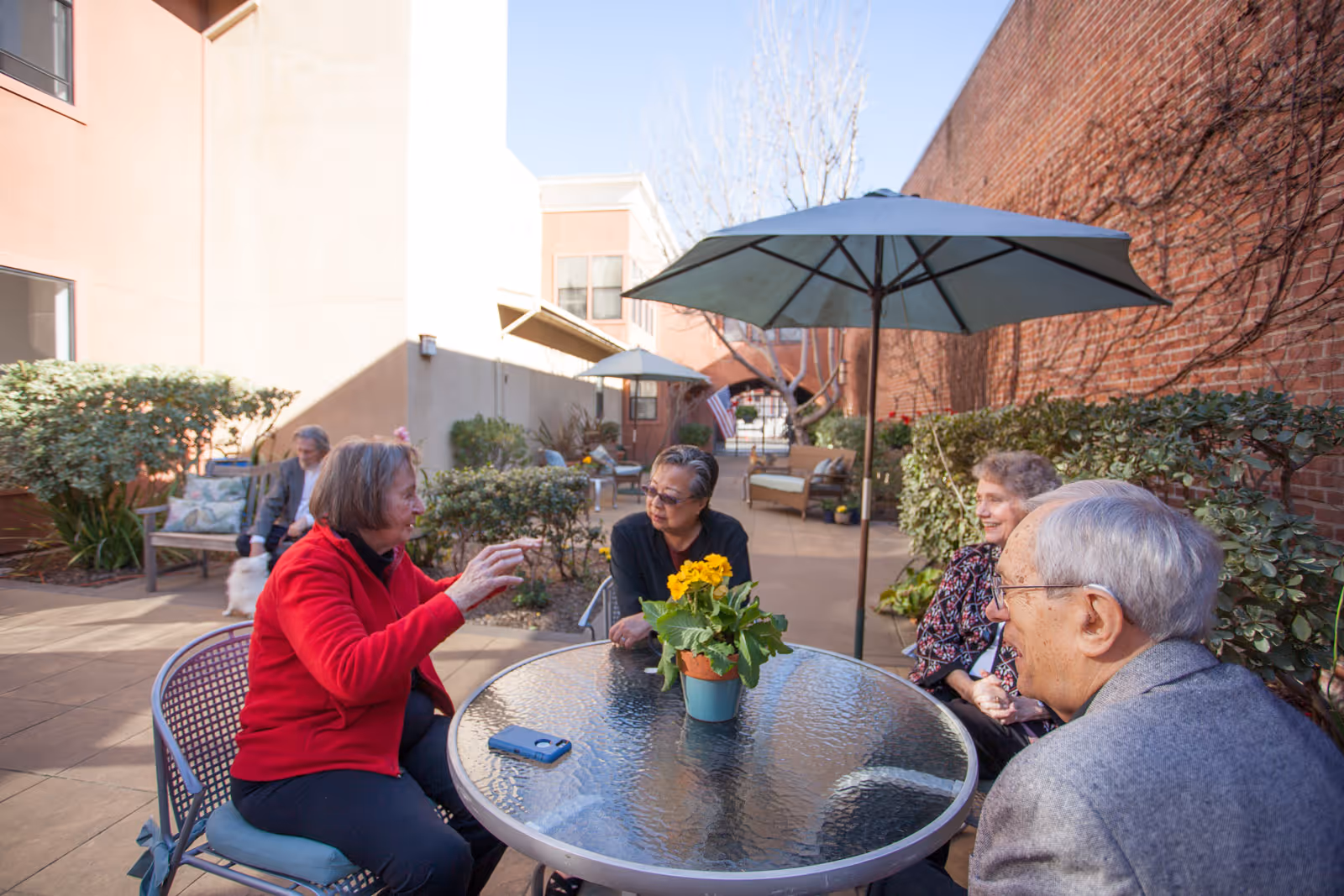 Four elderly people sitting around a glass outdoor table with a potted yellow flower in the center, engaged in conversation under a large patio umbrella in a courtyard with brick and stucco walls and greenery.