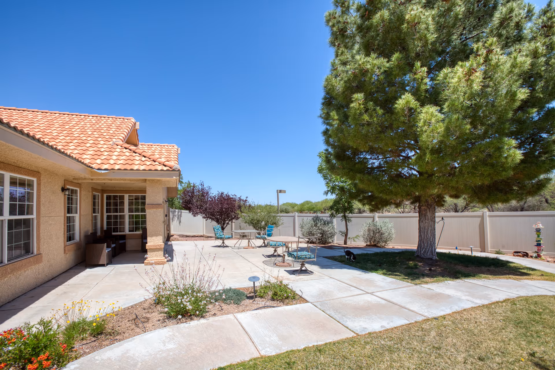 Outdoor patio area at Vista Pointe at Green Valley featuring a concrete walkway, patio tables with chairs, a large tree providing shade, and a fenced yard with some plants and bushes under a clear blue sky.