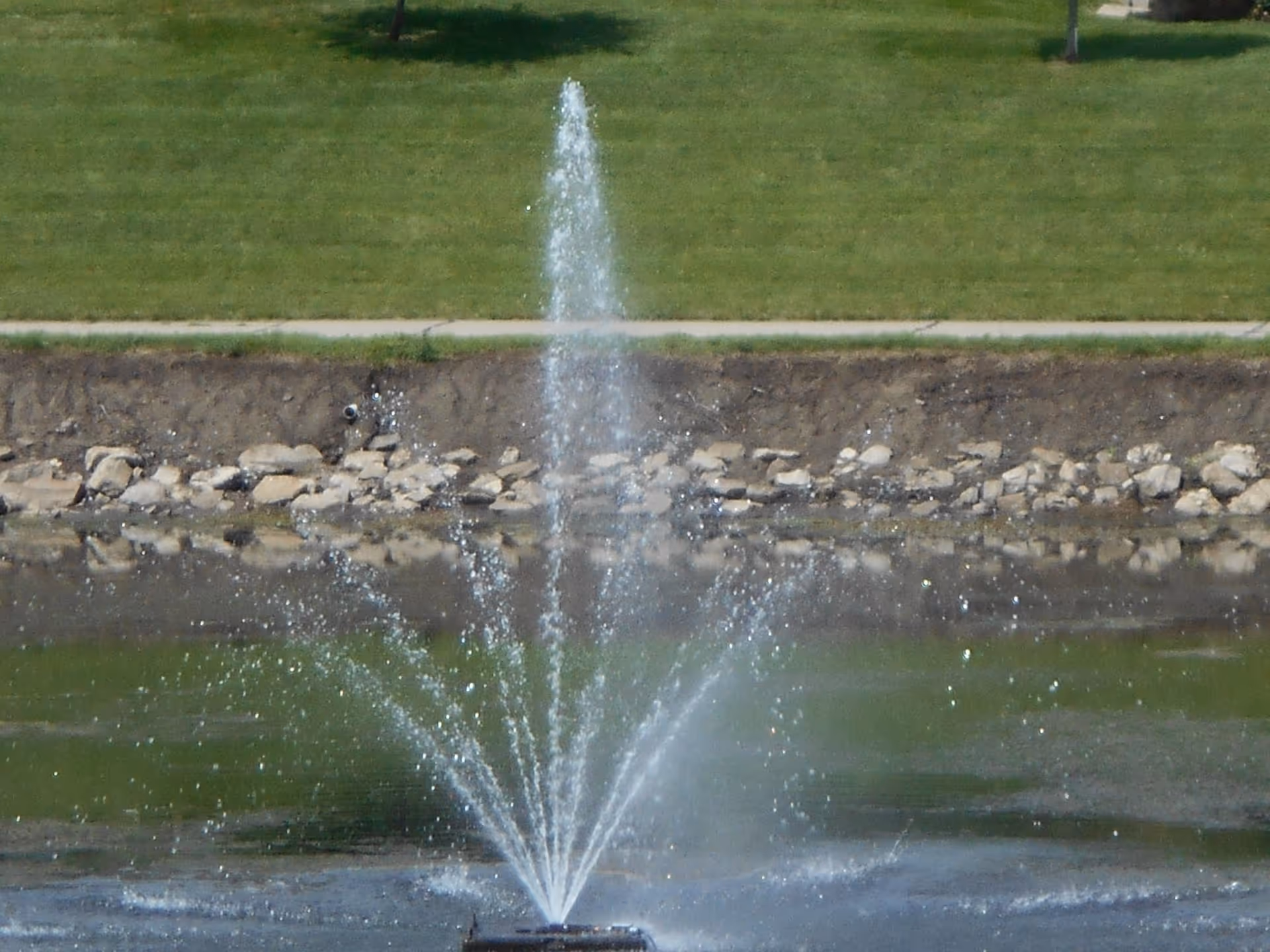 A water fountain spraying water upwards in a pond with a grassy area and a walking path in the background.