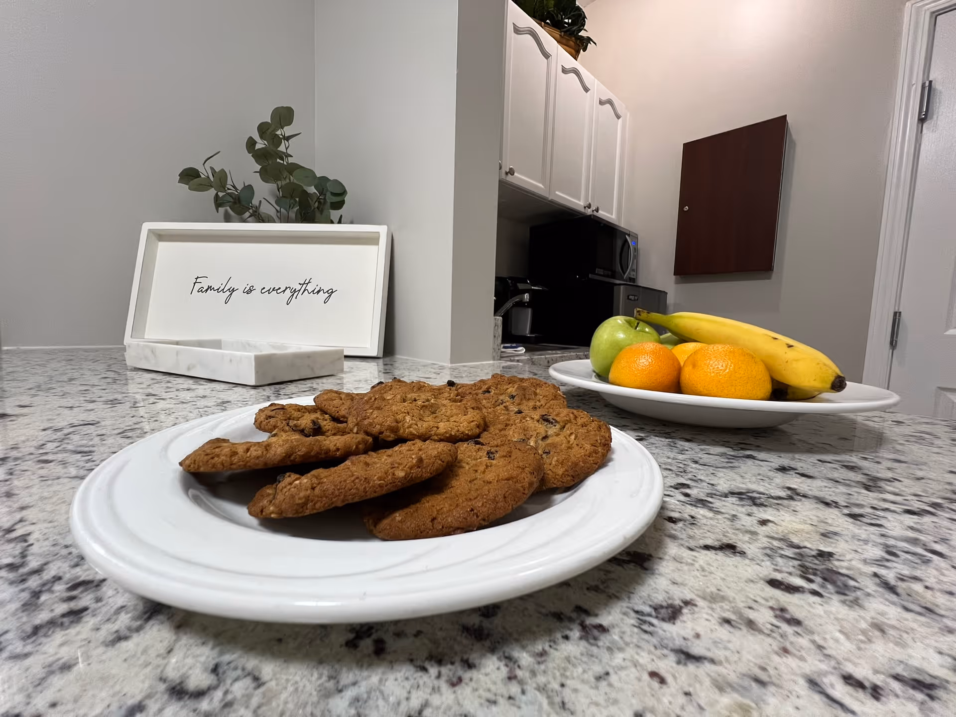 Plate of cookies and a bowl of fruit sit on a granite kitchen counter in a small kitchenette with cabinets and a sign reading 'Family is everything'.