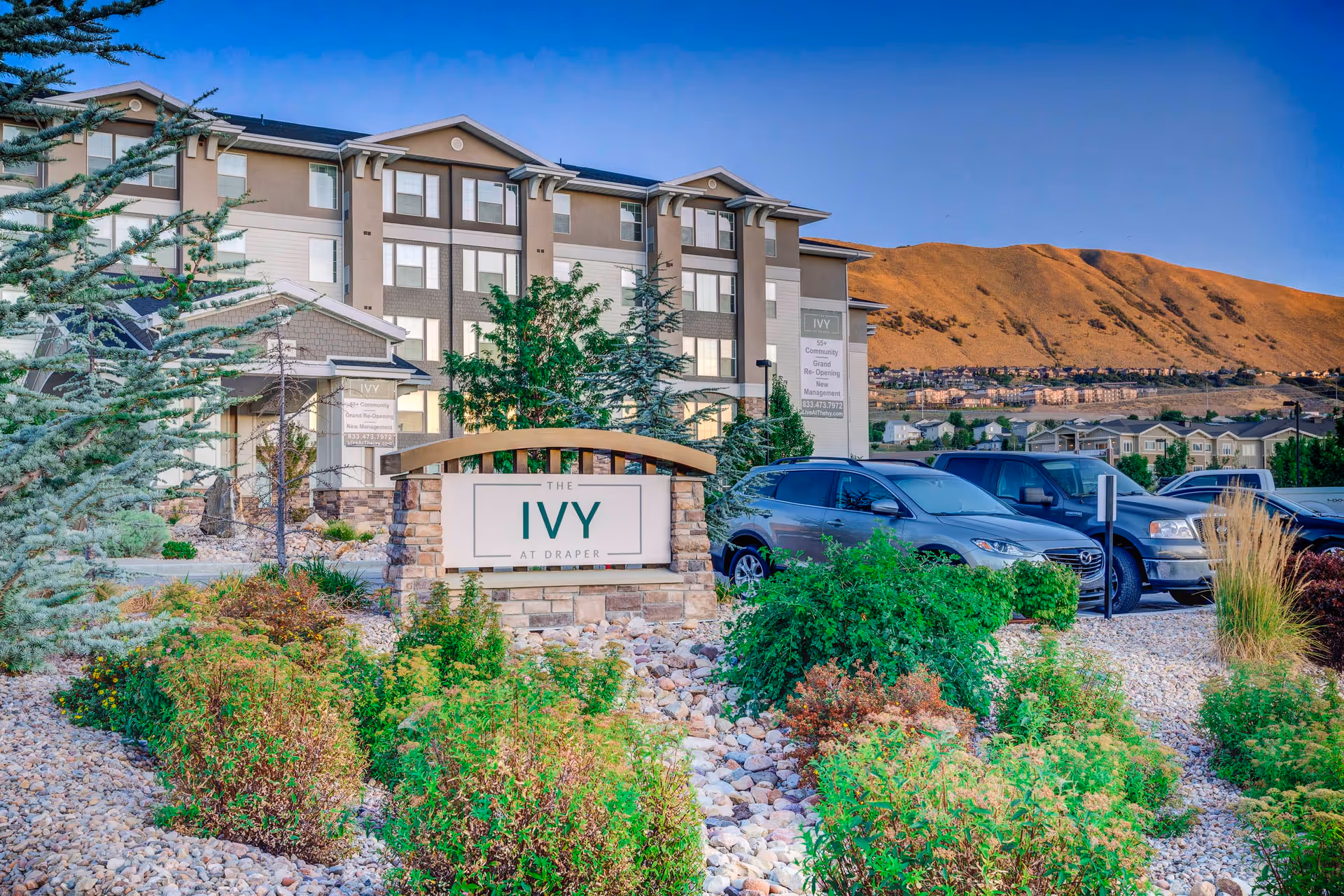 Exterior view of The Ivy at Draper senior living facility with a landscaped garden featuring bushes and rocks in the foreground, several parked cars, and a multi-story building in the background against a clear blue sky and hills.