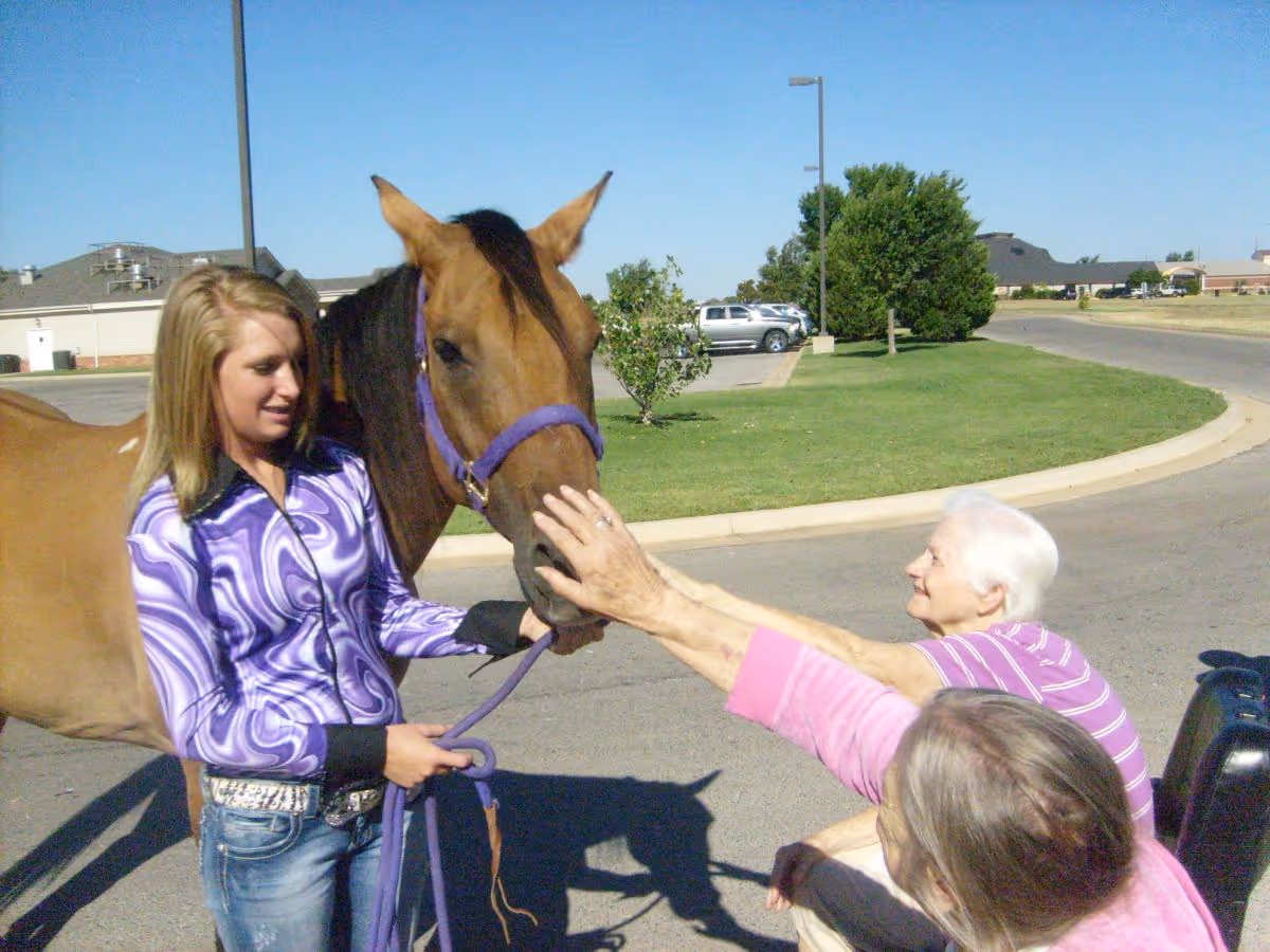 An elderly woman and another person reaching out to pet a brown horse held by a young woman wearing a purple patterned jacket, outdoors on a sunny day near a parking lot and grassy area.
