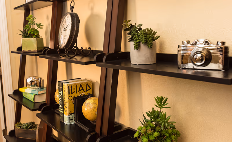 A dark wooden shelving unit against a beige wall displaying decorative items including potted succulents, a vintage-style clock, a silver camera figurine, several books, and a small globe.