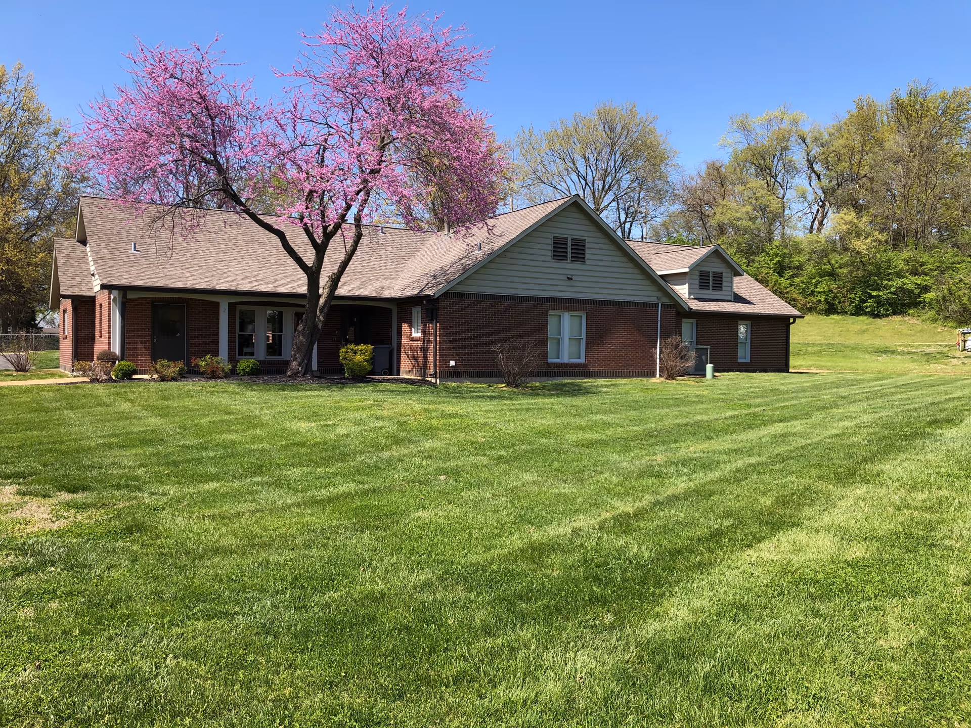 A single-story brick building with a gable roof surrounded by a well-maintained green lawn. In front of the building, there is a tree with bright pink blossoms. The sky is clear and blue, and there are other trees with green foliage in the background.