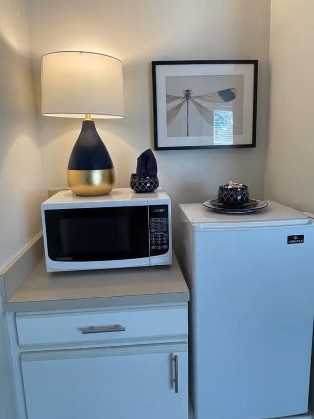 A small kitchen corner featuring a white microwave on a countertop with a modern lamp on top. Next to the microwave is a compact white refrigerator with a decorative black bowl and plate on top. Above the appliances, a framed picture of a dragonfly hangs on the wall.