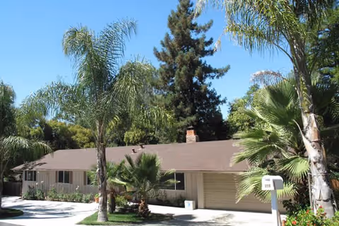 Single-story residential building with a brown roof and beige exterior surrounded by palm trees and other greenery under a clear blue sky. A white mailbox is visible in the front yard.