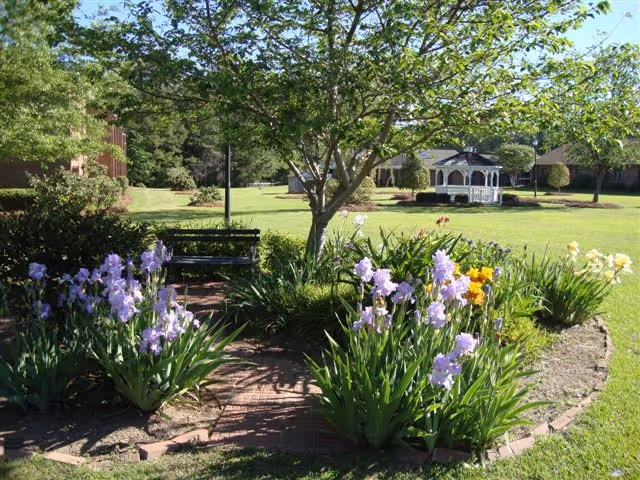 A garden area with blooming purple and yellow flowers surrounding a tree. There is a brick pathway leading to a bench under the tree. In the background, there is a white gazebo and well-maintained grassy lawn with other trees and buildings visible.