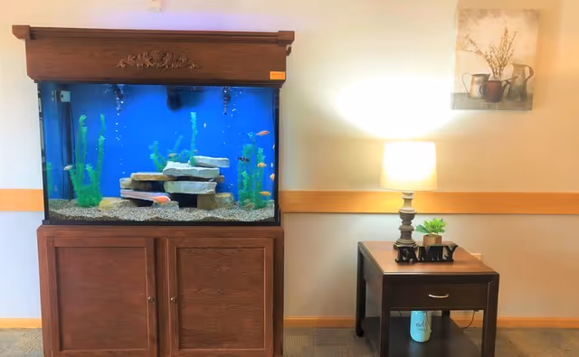 A large aquarium on a wooden cabinet sits next to a side table with a lamp, plant and a 'FAMILY' ornament against a light-colored wall.