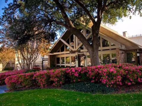 Meadowstone Place exterior with a large tree and pink flowering bushes in front.