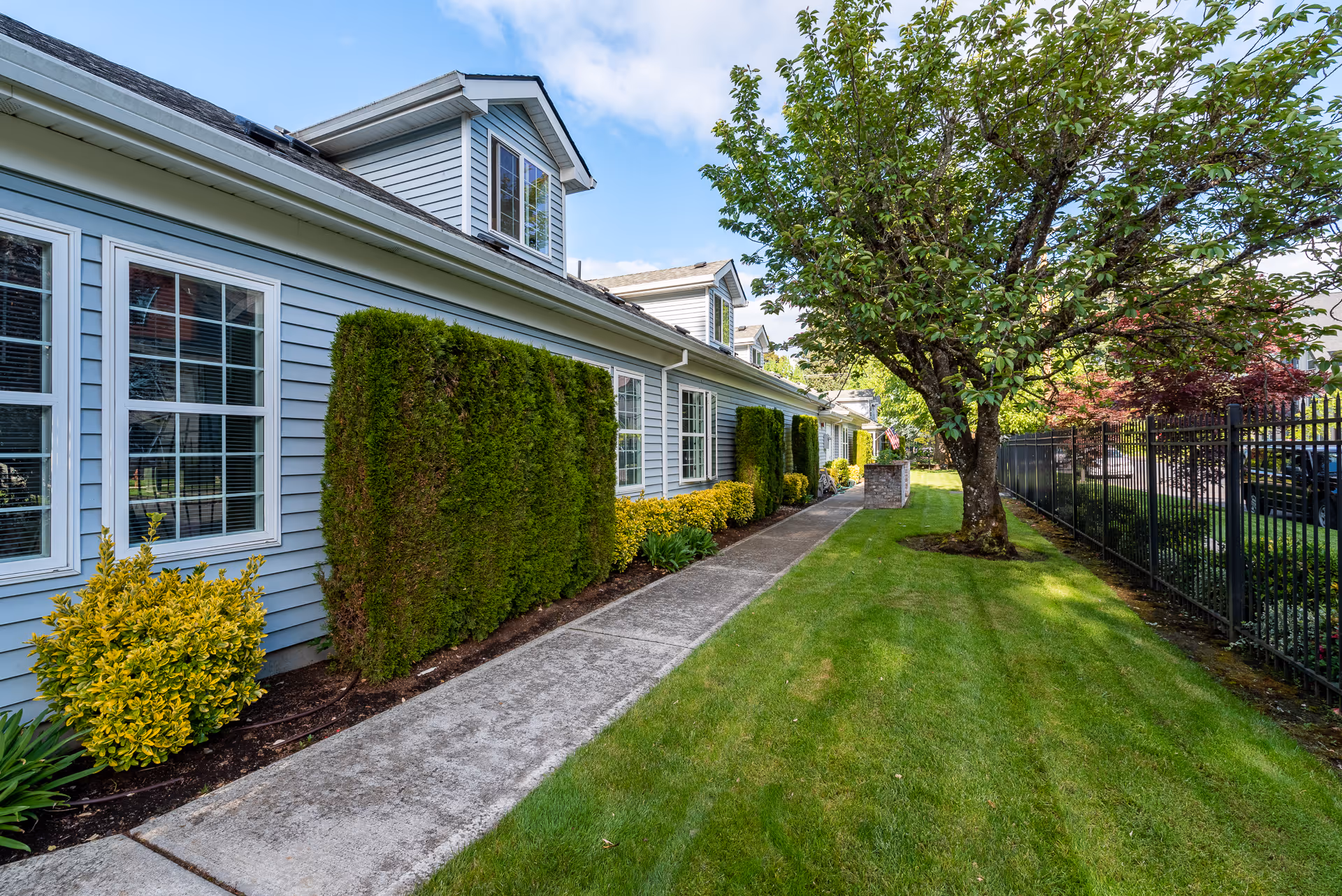 Side view of a light blue building with white-framed windows, a concrete walkway, neatly trimmed bushes, a large tree, and a black metal fence along a green lawn under a partly cloudy sky.