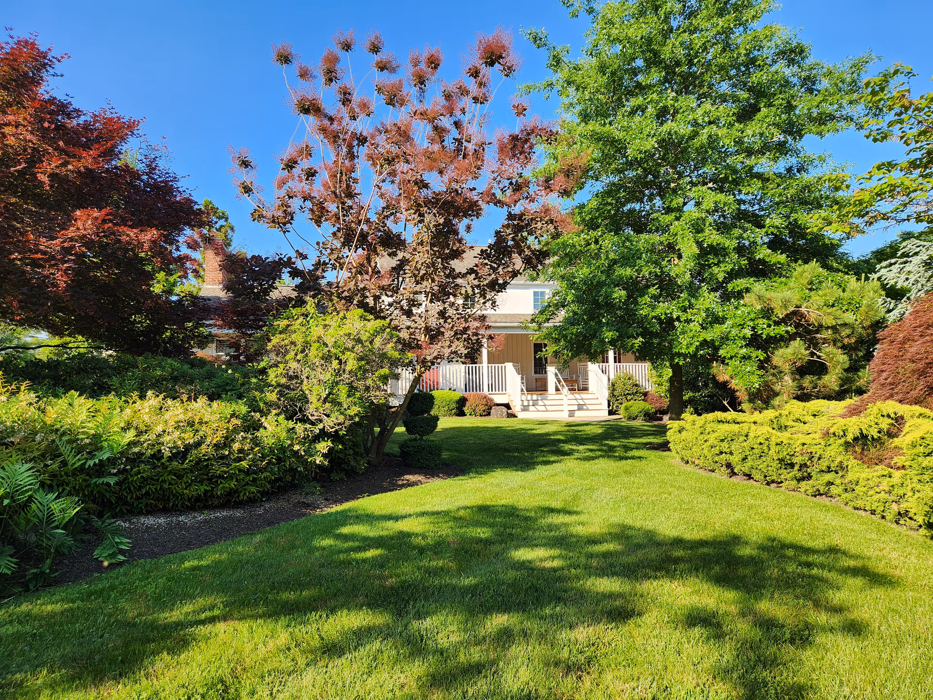 A well-maintained garden area with lush green grass, various trees, and bushes surrounding a building with a porch and steps leading up to it under a clear blue sky.