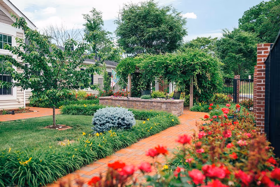 A vibrant outdoor garden area at Spring Arbor of Winchester featuring a brick pathway lined with red flowers and green shrubs. There is a small tree on a grassy lawn, a stone planter with greenery, and a pergola covered with climbing plants. The scene is bright and inviting with a partly cloudy sky.