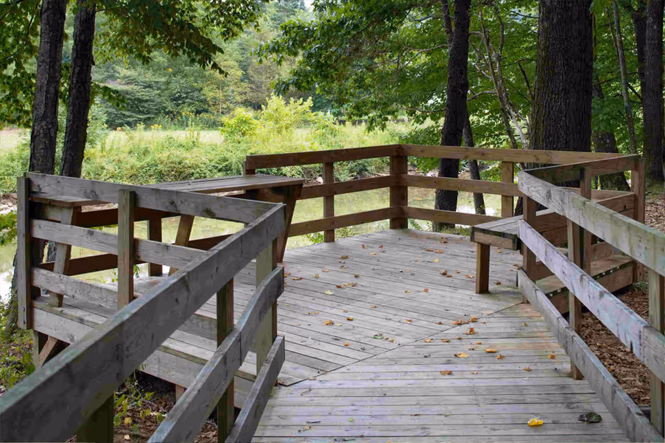 Wooden observation deck with railings in a wooded area overlooking a pond and grassy clearing.