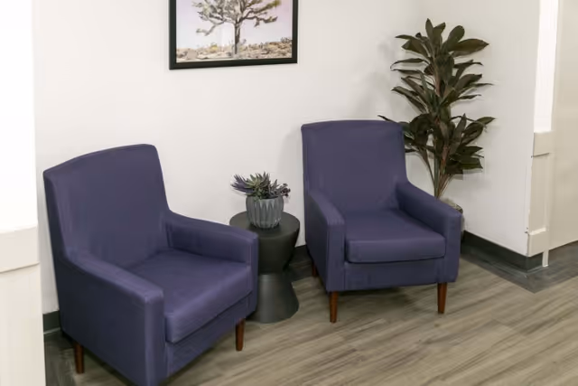 Two purple armchairs with wooden legs positioned side by side in a corner of a room. Between the chairs is a small black side table with a potted succulent plant on top. A tall green leafy plant is placed in the corner behind the right chair. A framed picture of a tree hangs on the white wall above the chairs. The floor has wood-like vinyl flooring.