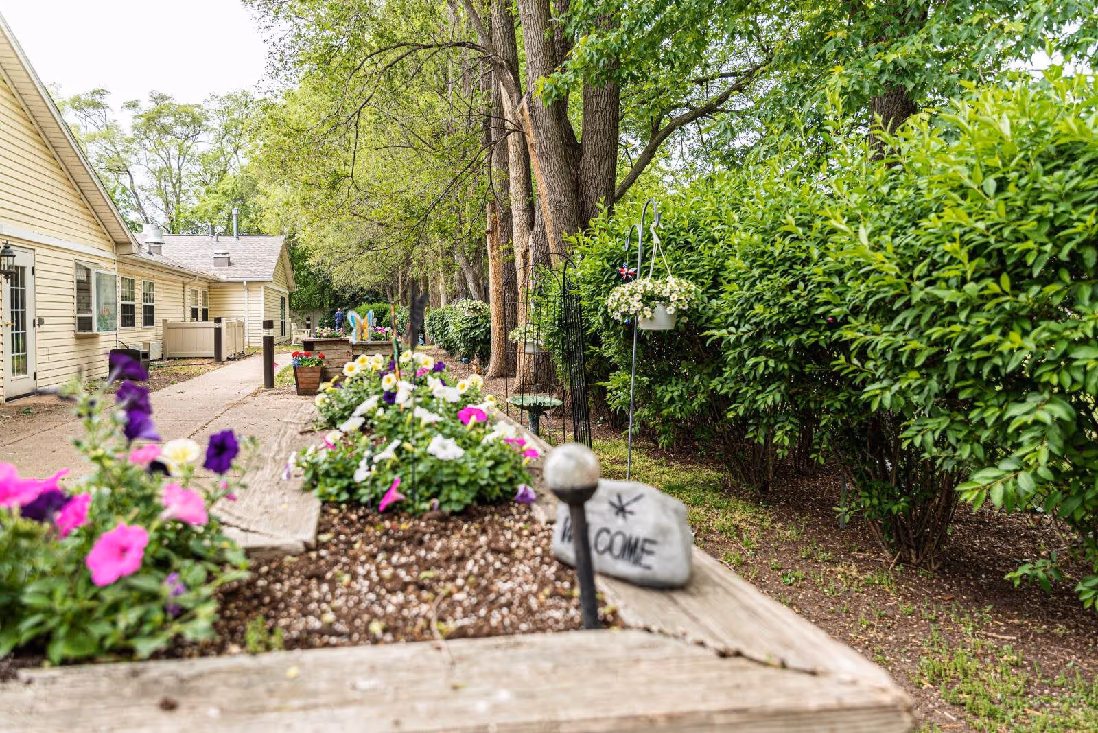 Outdoor garden area with colorful flowers planted in wooden raised beds along a paved walkway. There are trees and green bushes lining the right side, and a light yellow building with multiple windows on the left. A small stone with the word 'WELCOME' is visible among the flowers.