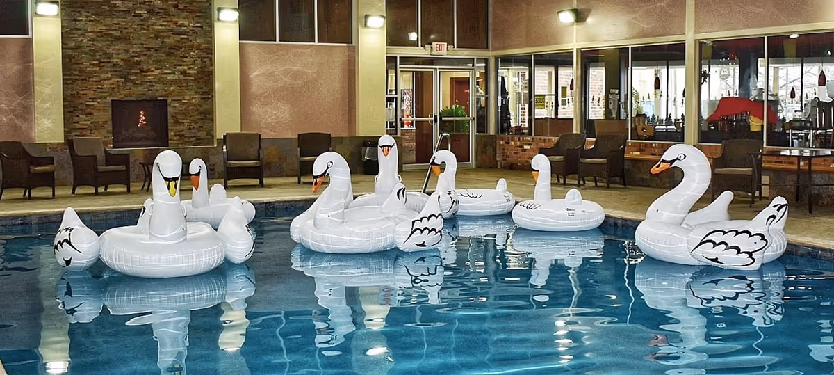 Indoor swimming pool with several large white inflatable swan floats on the water. The pool area is surrounded by chairs and tables, with a stone fireplace and large windows in the background.