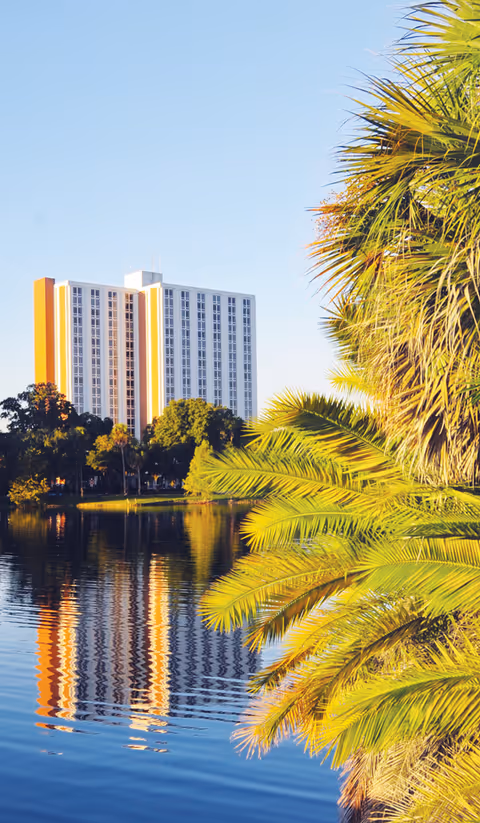 A tall white high-rise building beside a lake with palm trees in the foreground and its reflection in the water.