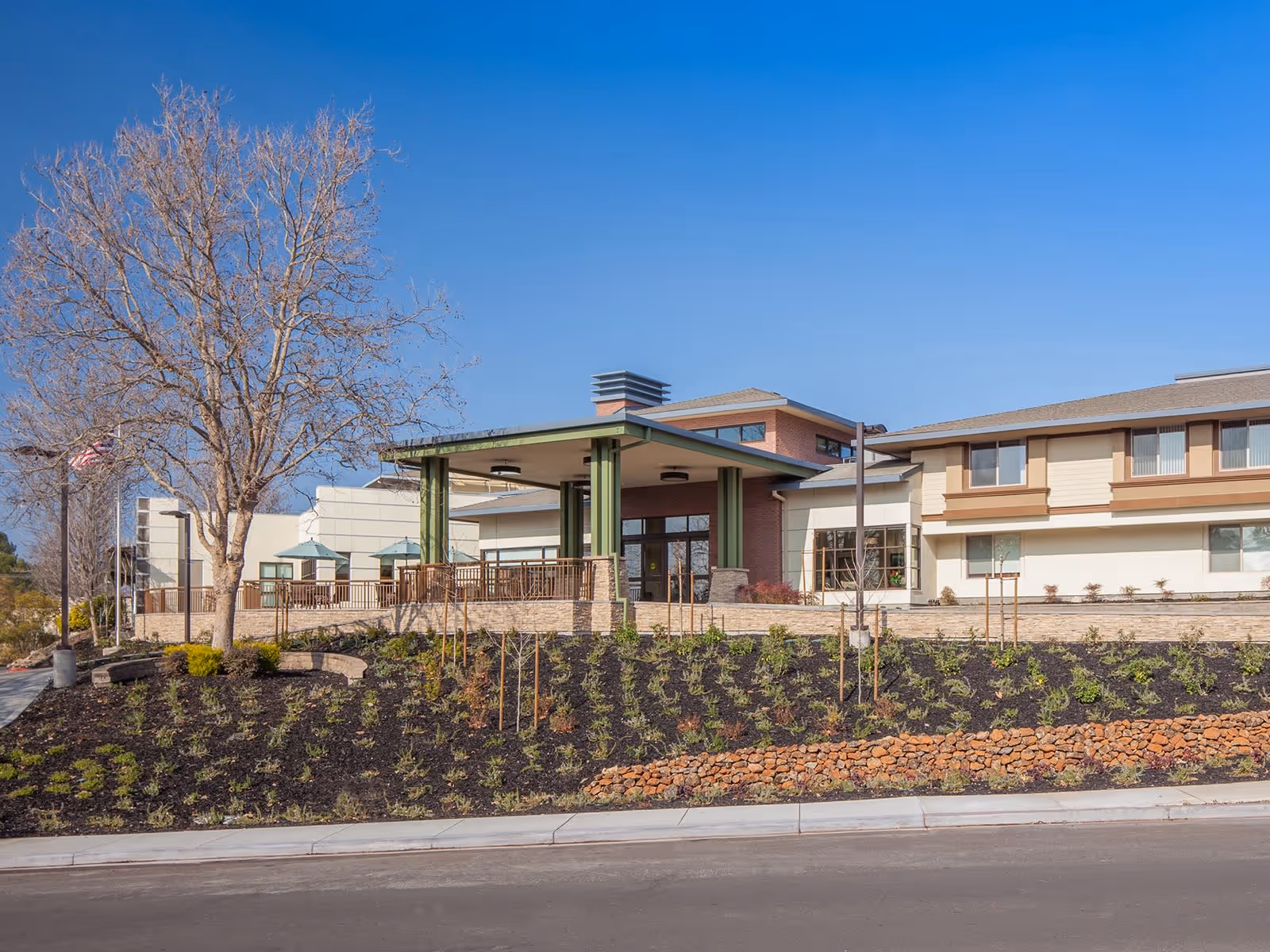 Exterior view of Atria Walnut Creek senior living facility showing a modern building with a covered entrance, landscaped garden with small plants and a large leafless tree, under a clear blue sky.
