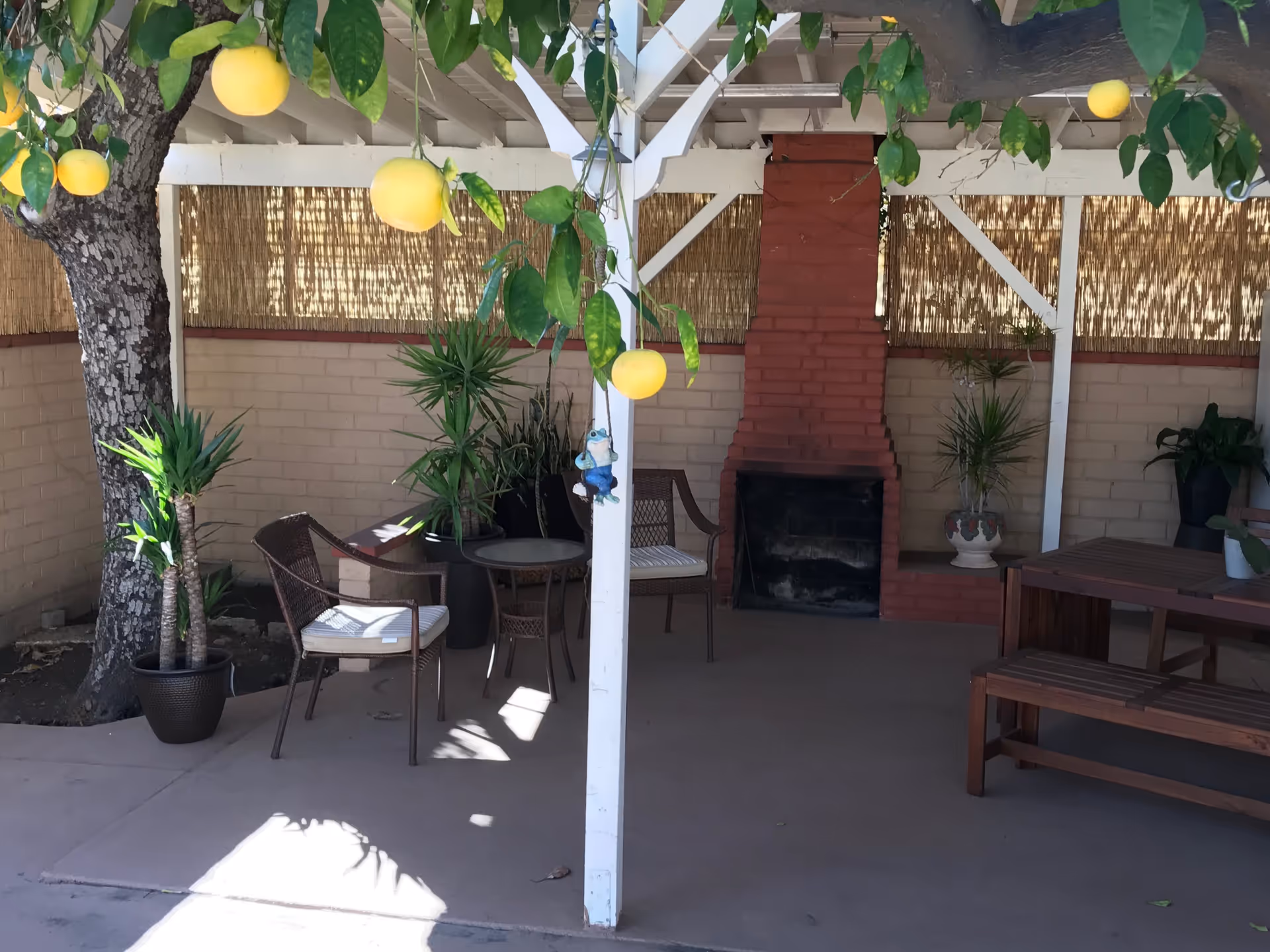 Covered outdoor patio with wicker chairs and table, a brick fireplace, potted plants, and a wooden picnic table beneath a tree with hanging lemons.