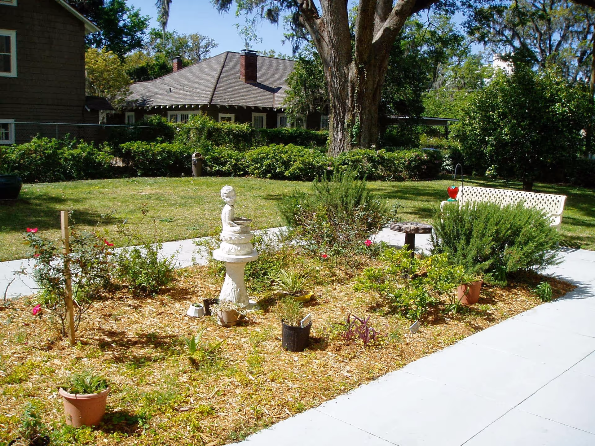 A garden area with various plants and shrubs, a white statue birdbath, a white bench, and a paved walkway. In the background, there are trees and residential-style buildings under a clear blue sky.