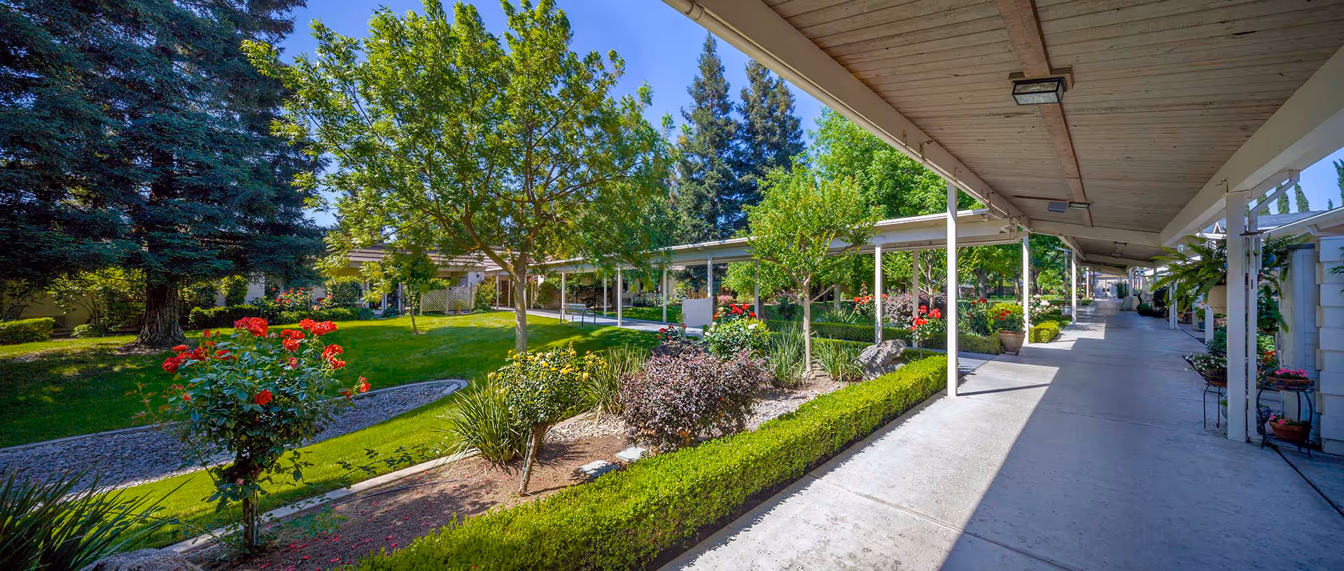 Covered walkway alongside a landscaped garden area with green grass, trees, bushes, and red flowers under a clear blue sky at Covenant Living of Turlock.