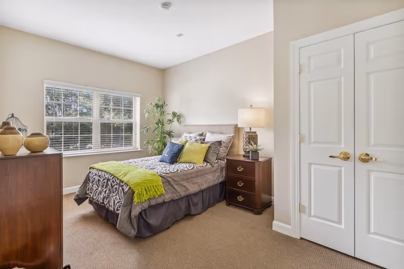 A bright bedroom with a bed covered in patterned bedding and multiple pillows, including green and blue accent pillows. There is a green throw blanket on the bed. Next to the bed is a wooden nightstand with a lamp and a small plant. A large window with white blinds lets in natural light, and a tall green plant is placed near the window. Across from the bed is a wooden dresser with decorative vases. The room has beige walls and carpet, and a white double-door closet is visible.