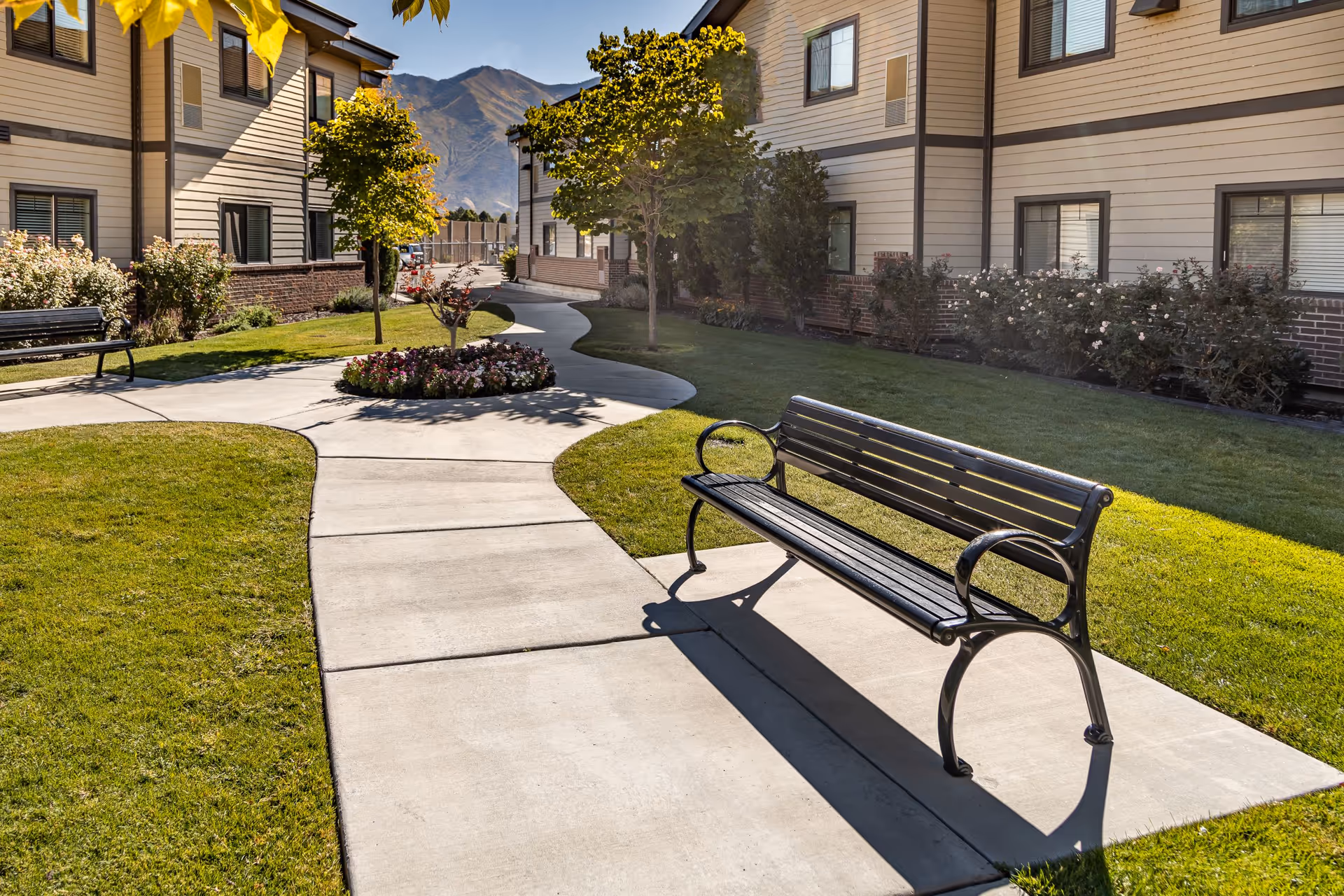 Sunny courtyard between two senior living buildings with a paved walkway, benches, lawn, trees, and flowerbeds.