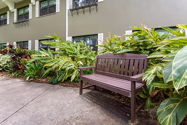 A brown wooden bench placed on a concrete pathway next to a building wall with several windows. Lush green plants and shrubs line the area between the bench and the building.