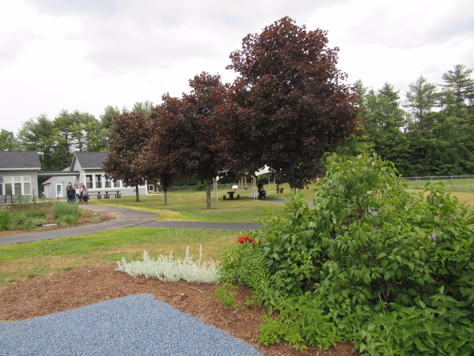 Outdoor view of Cedarcrest Center for Children with Disabilities showing a landscaped garden area with bushes and flowers in the foreground, a paved pathway, several trees with dark red leaves, and white buildings in the background under a cloudy sky.