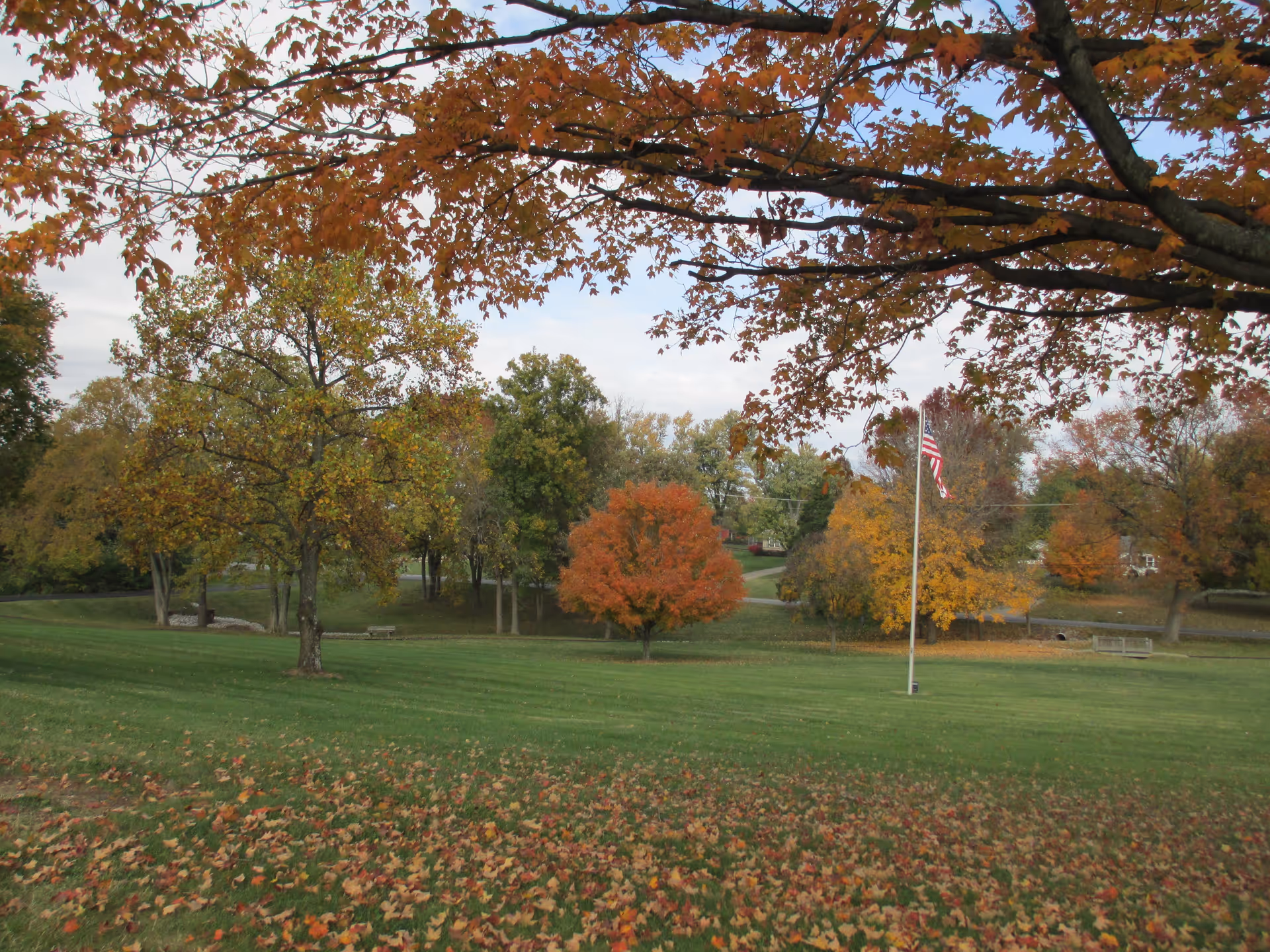 A scenic outdoor view of a grassy area with trees showing autumn foliage in shades of orange, yellow, and green. An American flag on a flagpole stands in the middle of the scene, with fallen leaves scattered on the grass. The sky is partly cloudy.