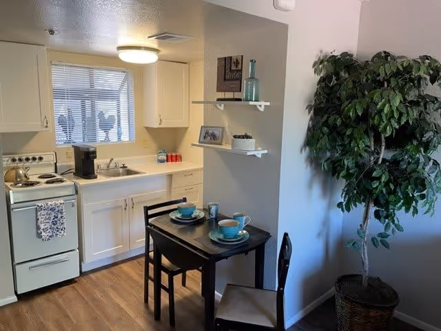A small kitchen area with white cabinets, a stove with a kettle, a coffee maker on the counter, and a window with blinds. In front of the kitchen is a small dark wooden dining table set for two with blue dishes and cups. To the right of the table is a large potted plant. The floor is wood, and there are two white floating shelves on the wall with decorative items.