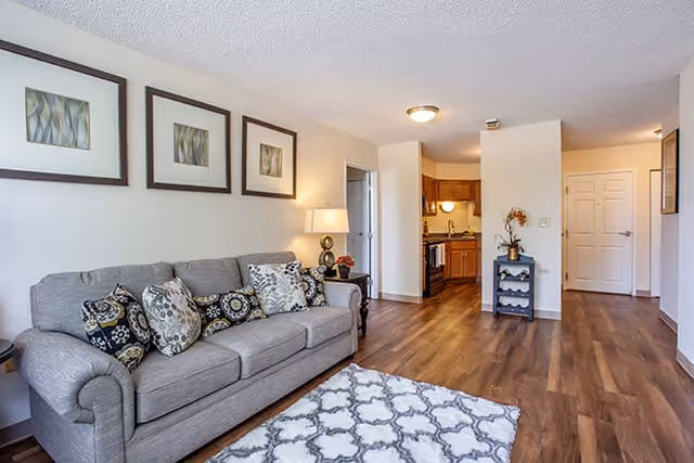 A cozy living room with a gray sofa adorned with patterned cushions, a side table with a lamp, three framed abstract artworks on the wall, a patterned area rug on wooden flooring, and an open view into a kitchen area with wooden cabinets.
