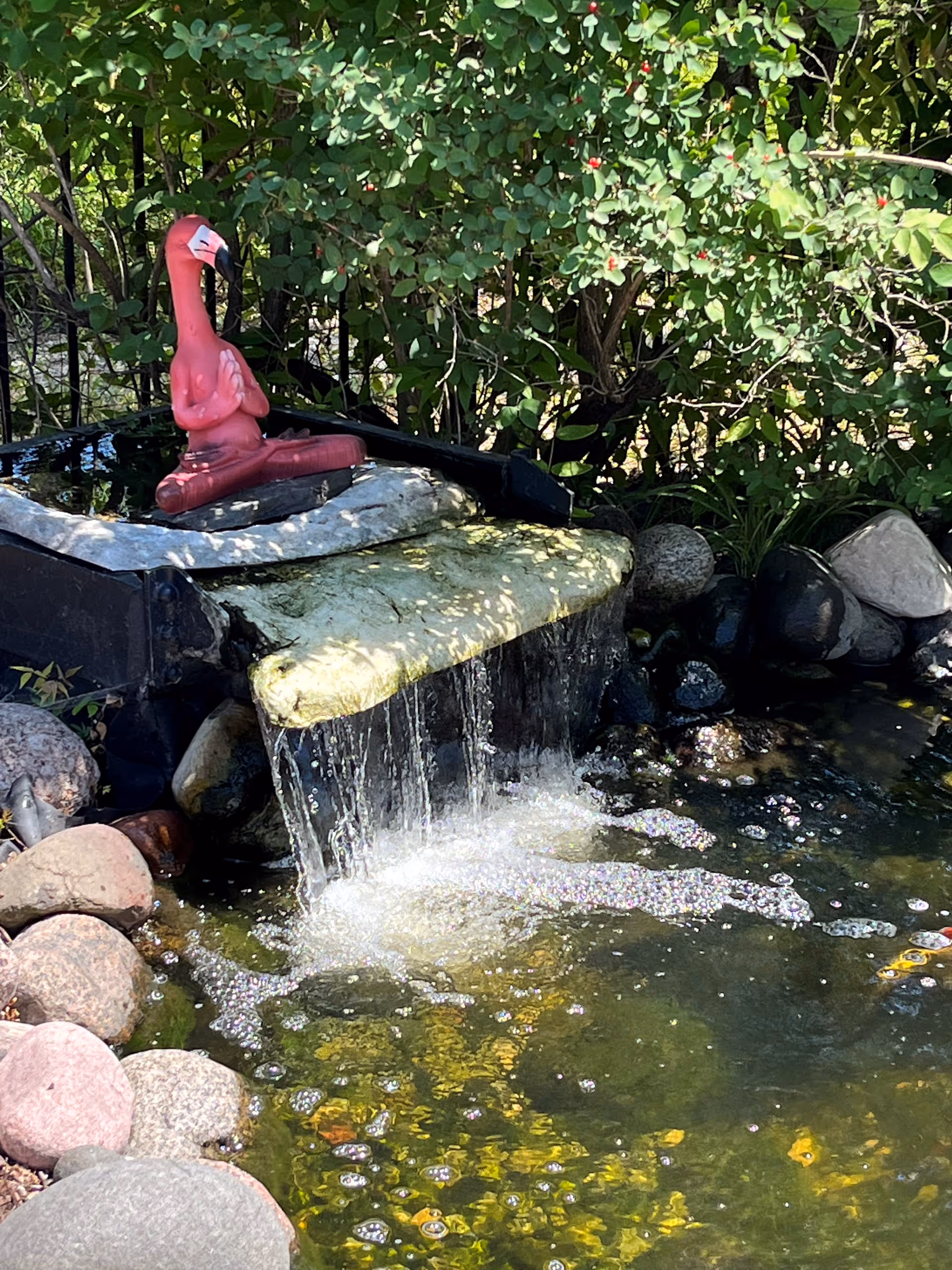 A small outdoor water feature with a waterfall flowing over a stone ledge into a pond surrounded by rocks. A pink flamingo statue in a meditative pose is placed on the edge of the water feature, with green leafy bushes in the background.