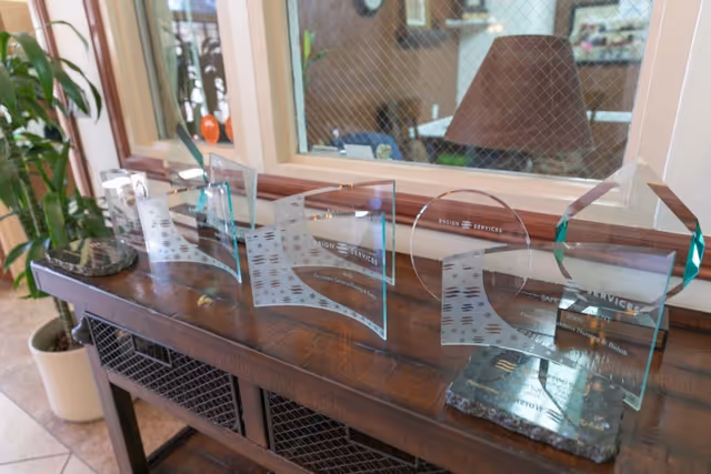 A wooden table with several glass awards displayed on top, positioned in front of a window with a mesh screen. A potted plant is visible to the left, and the background shows a room with furniture and decor.