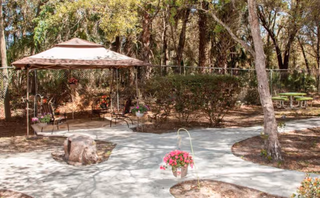 Outdoor garden area with a paved walkway, a gazebo with chairs underneath, hanging flower pots, bushes, trees, and a picnic table in the background.