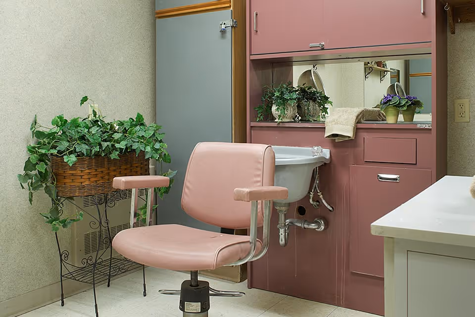A small room with a pink salon-style chair in front of a pink cabinet with a built-in sink. There are green plants in a wicker basket on a metal stand to the left, and a mirror above the sink reflecting part of the room. A beige towel and a small potted plant are on the cabinet counter.