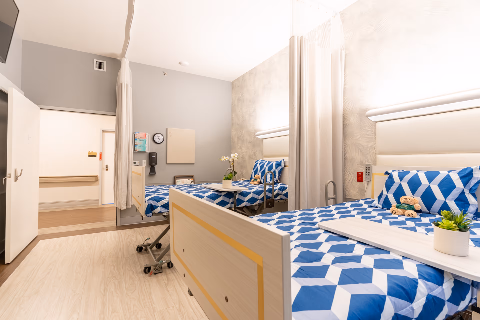 Two hospital-style beds with blue geometric bedding in a shared, well-lit patient room with privacy curtains, bedside tables, and a small plant.