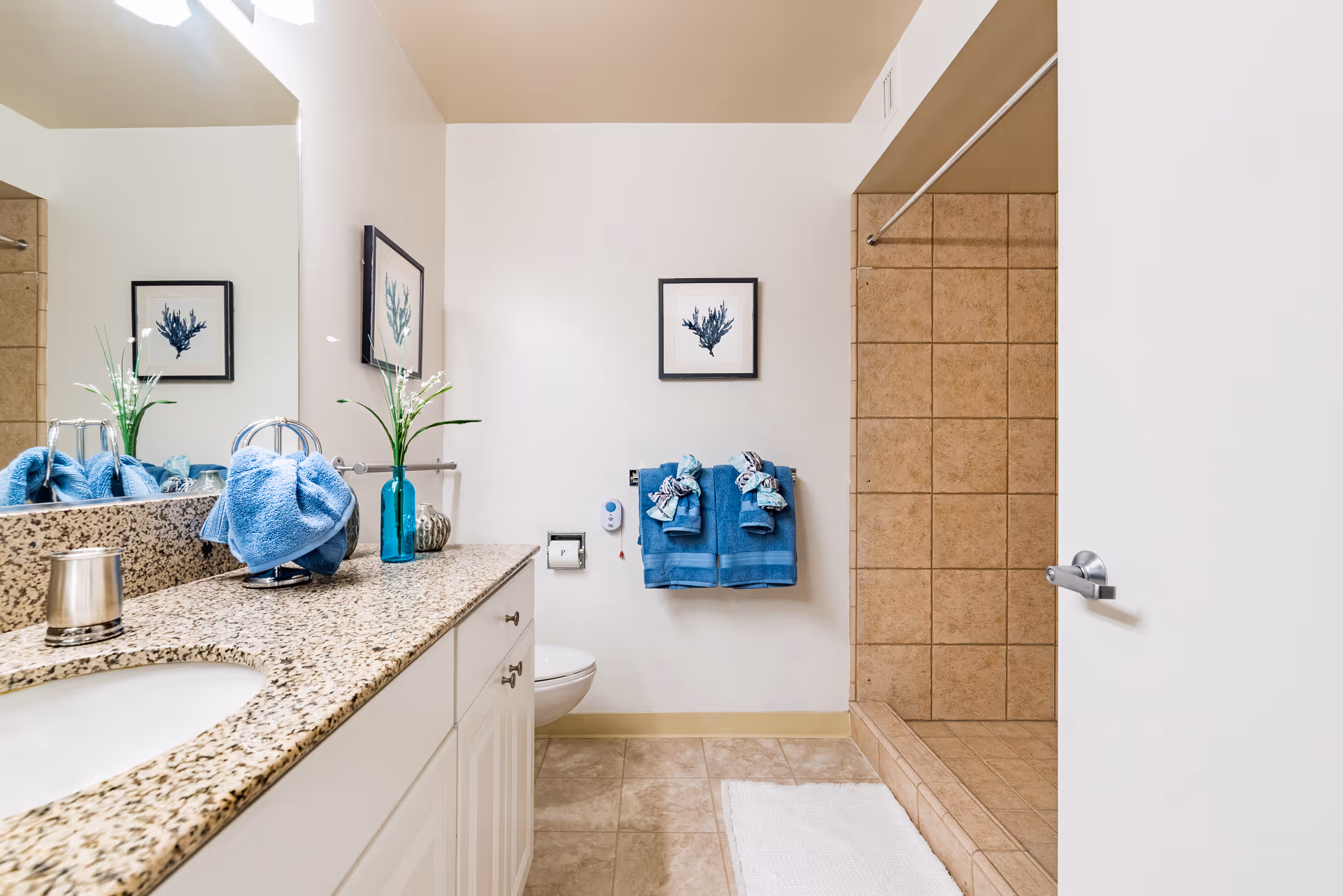 Bright bathroom with a granite countertop and sink, toilet, tiled walk-in shower, and blue towels.