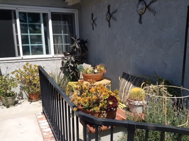 A small outdoor patio area with various potted plants and succulents arranged on and around a yellow metal table and a bench with striped cushions. The patio is enclosed by a black metal railing and is adjacent to a building with a window and decorative wall hangings shaped like suns.
