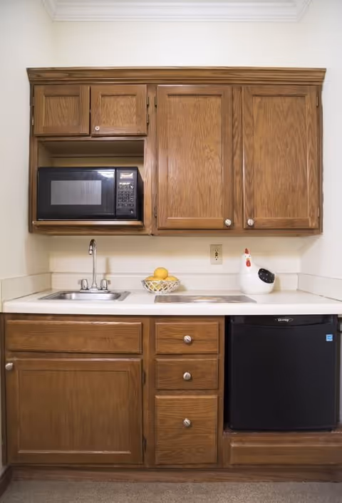Small kitchenette with wooden cabinets, a microwave, a sink, a mini refrigerator, a bowl with lemons, and a ceramic chicken decoration on the countertop.