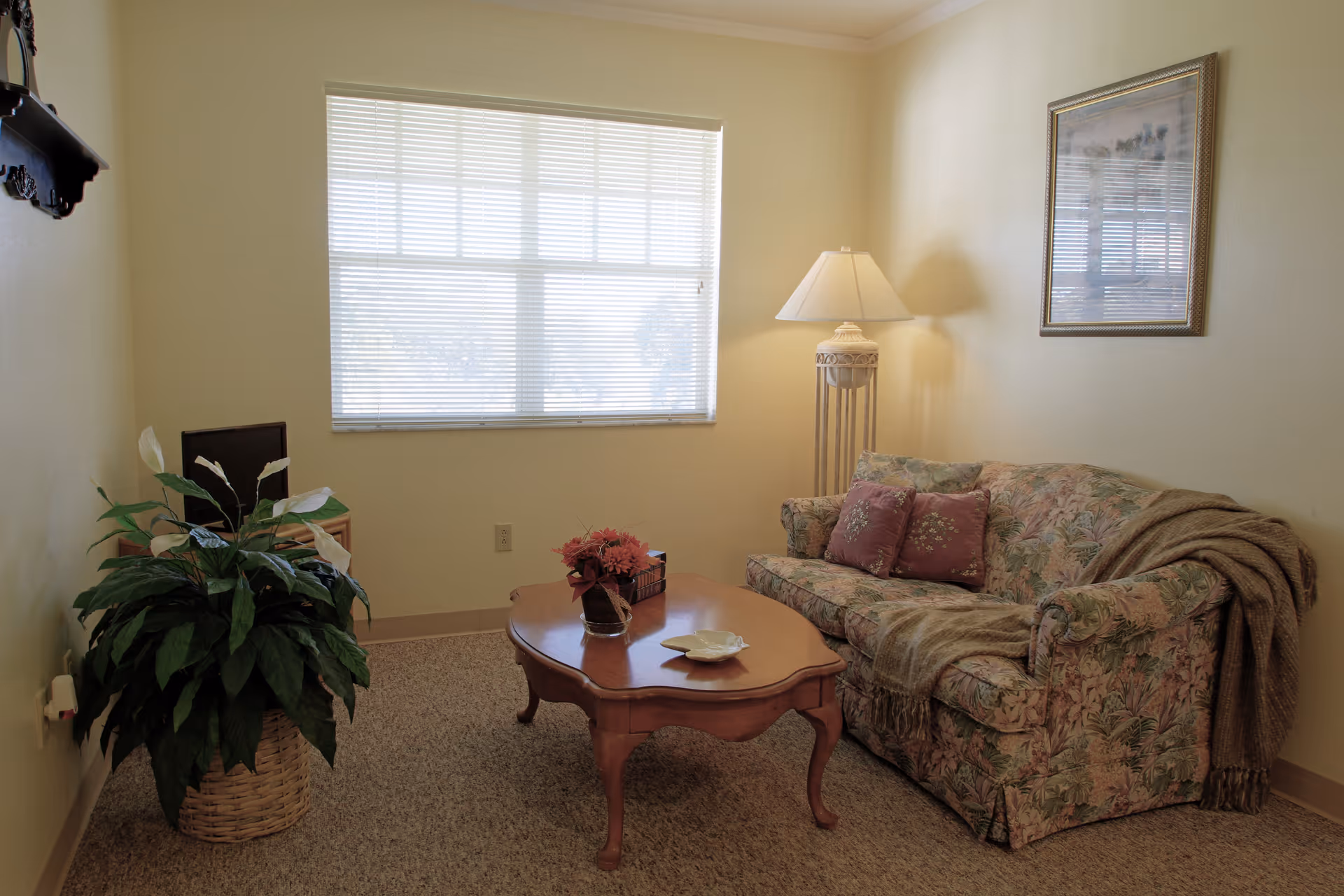 A cozy living room with a floral patterned couch adorned with two purple pillows and a brown throw blanket. A wooden coffee table with a small flower arrangement and a decorative dish sits in front of the couch. To the left, there is a large potted plant in a woven basket. A tall floor lamp with a white shade stands next to the couch. A window with blinds lets in natural light, and a framed picture hangs on the wall above the couch.